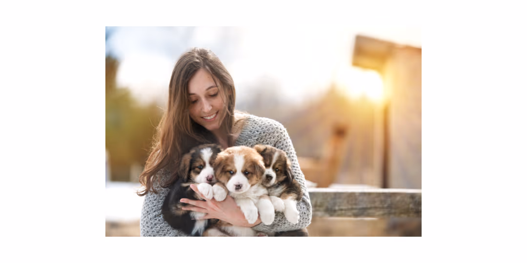Surprise and Delight Customers|Puppy Delight (1080 × 540 px)